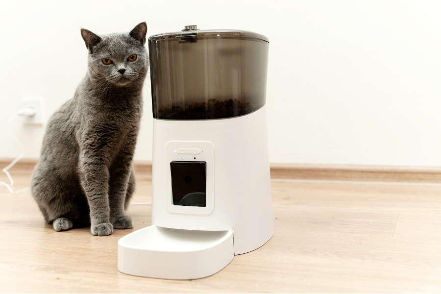 A gray cat sits beside a sleek white automatic pet feeder on a wooden tile floor.