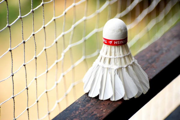 Beyond the Birdie: Discover the Best Badminton Nets